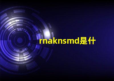rnaknsmd是什么牌子衣服 Rnaknsmd什么意思